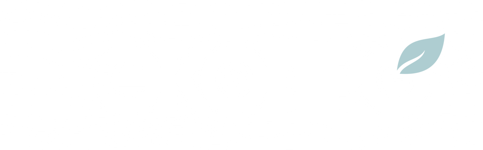 Главная